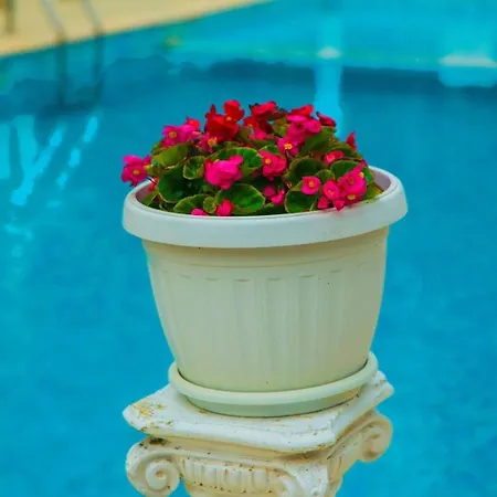 Apartamento студио до плажа влас Sveti Vlas