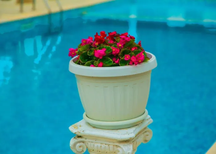 アパート студио до плажа влас スヴェティ・ヴラス